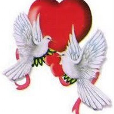 Profile Picture of Ryan EngelS (@RyanEngelS1) on Twitter