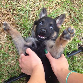 Profile Picture of Mariana Gandara (@Mariana-Gandara) on Facebook