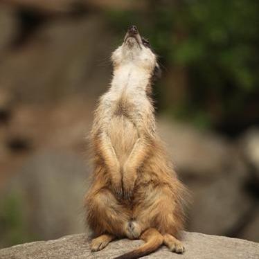 Profile Picture of Janie Lamki (@JanieLamki) on Twitter