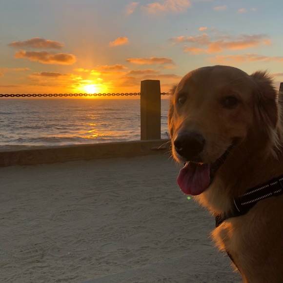 Profile Picture of Erik Myers (@empoweredlife) on Poshmark