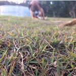 Profile Picture of Blake & Racquel Hancock 📸 (@hancocks._.photography) on Instagram