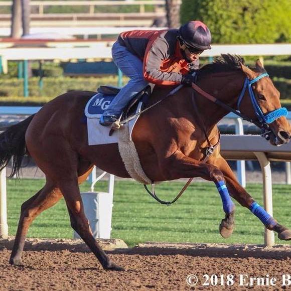 Profile Picture of Armando Ayuso (@aayuso17) on Poshmark