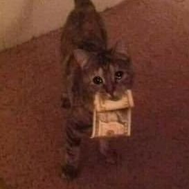 Profile Picture of Joshua DaSilva (@Masteryustis) on Twitter