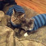 Profile Picture of Ross Dylan Mcmahan (@mcmahanrossdylan) on Instagram