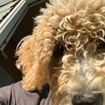 Bob Witt - Instagram Profile Picture of Bob Witt (@4kbobby83) on Instagram