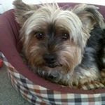 Profile Picture of James Crane (@james.crane.334) on Instagram