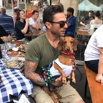 Profile Picture of Brad Vassallo (@b_radvass) on Instagram