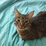 Profile Picture of MacKenzie Dunham (@kenzie_r_d) on Instagram