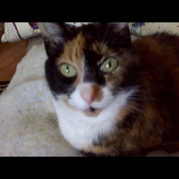 Stacy Silver - Poshmark Profile Picture of Stacy Silver (@stacystirling) on Poshmark