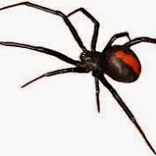 Profile Picture of Darryl Adams (@razorback644) on Youtube