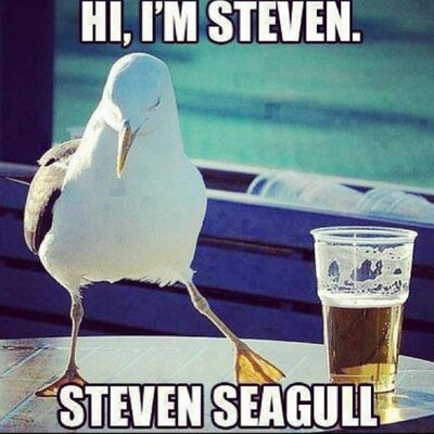 Profile Picture of Steffan (@stephen_hoyt) on Twitter