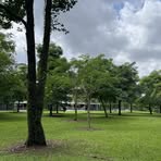 Profile Picture of Yvette Carl (@Yvette-Carl) on Facebook