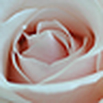 Profile Picture of K.a (@k.a { dare to dream) on Flickr
