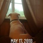 Profile Picture of Lynn Scullion (@lynnscullion) on Instagram