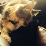 Profile Picture of Frederick Neal (@frederickneal66) on Instagram