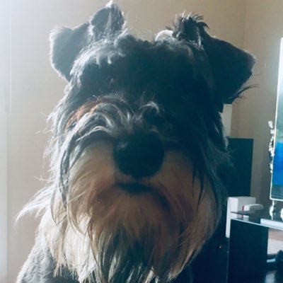Profile Picture of Sean Bradshaw (@SeanBra08546654) on Twitter