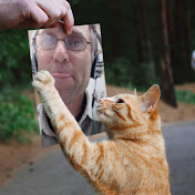 Profile Picture of Derek Marks (@derekmarks8338) on Youtube