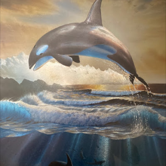 Profile Picture of Jose Vallecillo (@jose_vallecillo) on Poshmark