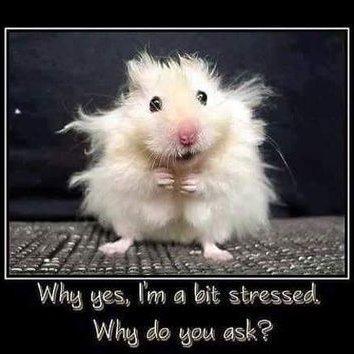 Rita Pugh - Twitter Profile Picture of Rita Pugh (@RitaPugh17) on Twitter