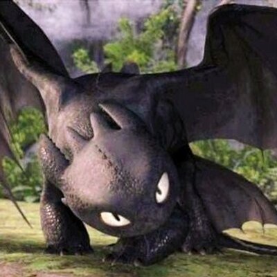 Cassandra Nightfury - Twitter Profile Picture of Cassandra Nightfury (@@HermanCassandra) on Twitter