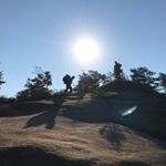 Profile Picture of Eric Quinton (@eric_quinton33) on Instagram