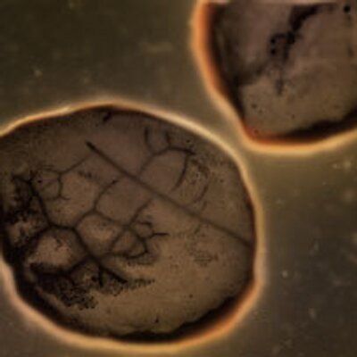 Profile Picture of Greg Barnett (@gpbarnett) on Twitter