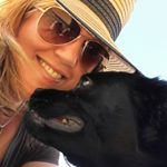 Profile Picture of Dawn McLeod (@dawn_mcleod11) on Instagram