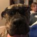 Profile Picture of Steve Tilker (@steve.tilker.3) on Facebook
