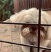 Profile Picture of Debra Nester (@debra.nester.927) on Facebook