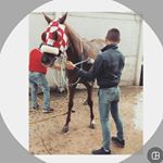 Profile Picture of Davide virgilio (@davidevirgilio_02) on Instagram