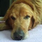 Profile Picture of Sheryl Anderson (@sheryl.anderson.547) on Instagram