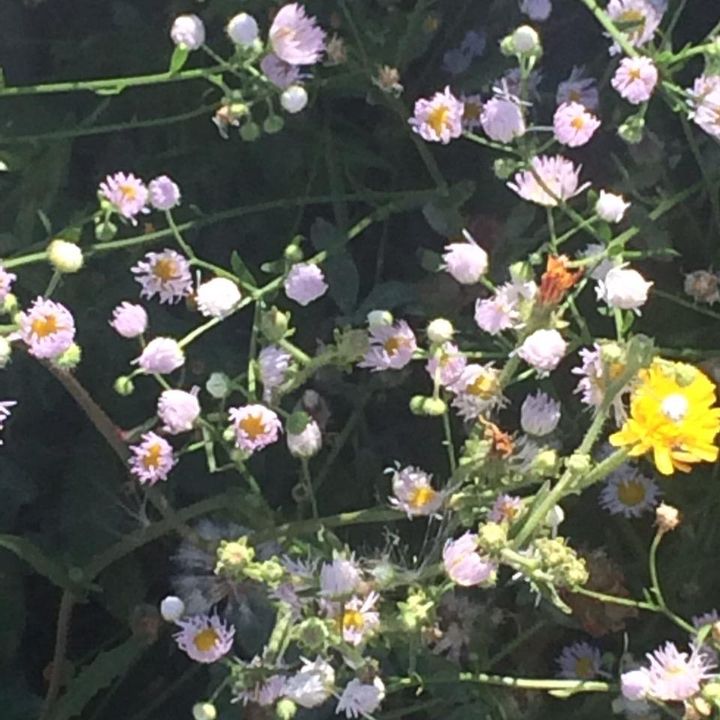 Profile Picture of Elsa Zamarreno (@elsa.zm0) on Tiktok