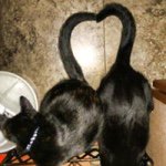 Profile Picture of Merrie Campbell (@merc0906) on Instagram