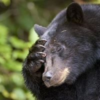 Profile Picture of Scott Nichols (@scott-nichols-48) on Quora