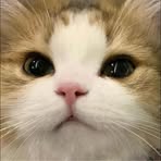 Profile Picture of Hazel Clouds (@dunna.atikah.3) on Facebook