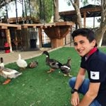 Profile Picture of Abdullahodeh#Abbadi# (@abdullah.odeh.58958) on Instagram