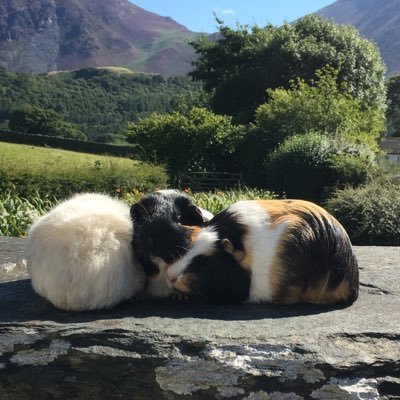 Profile Picture of Catherine Mitchell (@CathMitch14) on Twitter