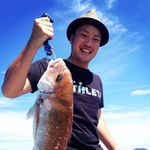 Profile Picture of Michelle Howard (@lachlanferrell) on Instagram