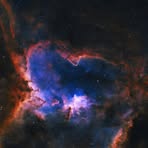 Profile Picture of Mark Boucher (@mark.boucher.319452) on Facebook