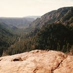 Profile Picture of Joseph Cestone (@josephcestone) on Instagram