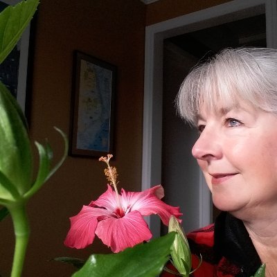 Profile Picture of Nancy Martin (@NancyMartin2021) on Twitter