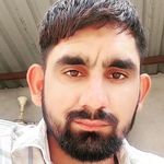Rakesh Beniwal Joliyali - Instagram Profile Picture of Rakesh Beniwal Joliyali (@rakesh_bishoni007) on Instagram