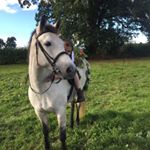 Profile Picture of Ruby Forbes (@rihanna_wanna) on Instagram