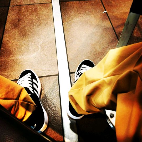 Profile Picture of Thomas Alfieri (@thomas.alfieri) on Tiktok