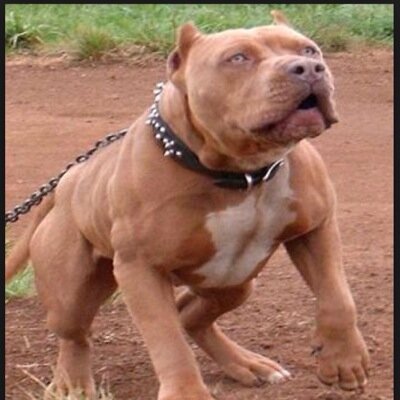 Profile Picture of Piotr Probala (@pmtland) on Twitter