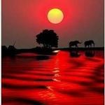 Profile Picture of Baumannn joseph (@baumannnjoseph) on Instagram