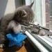 Profile Picture of John Ripa (@jripa1967) on Pinterest