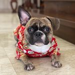 Profile Picture of Eric Connolly (@its_fruggin_eric) on Instagram