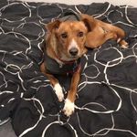 Profile Picture of Aaron Keller (@aaronkeller105) on Instagram