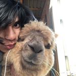 Profile Picture of Eirik Swaraj Vareberg (@eirikswaraj) on Instagram